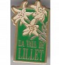 La Vall De Lillet - La Vall De Lillet - White & Green - Spain - Metal - Flora - Edelweiss - 0
